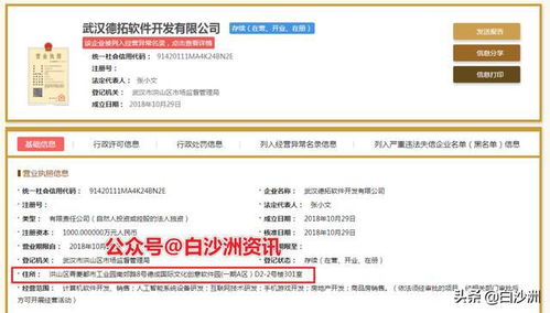 白沙洲青菱建群村軟件園項目正式啟動，總投資7.1億元打造計算機軟件研發新高地